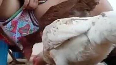 Must watch desi bhabi feeding hen