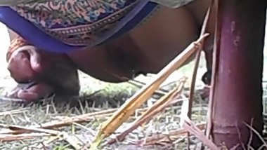 desi pee