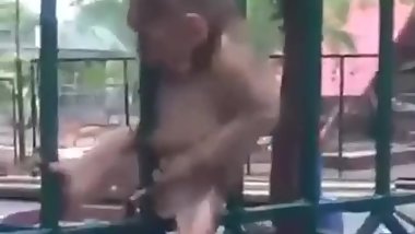 Sexya video