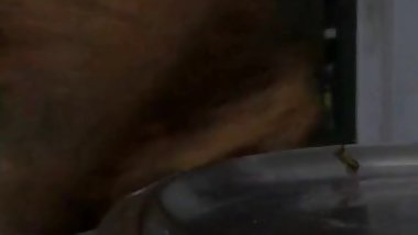 Indian Maid Seduced By Owner When Wife Not Home