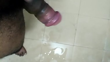 Indian cock