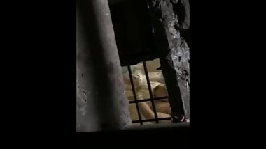 desi video 11